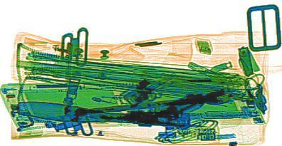 Original Image: P00490.jpg