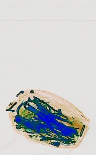 Detection preview by DN_Medium_300_yolov8m_20t7_new