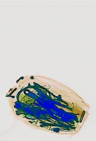 Detection preview by DN_Medium_300_yolov8m_20t7_new