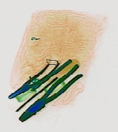 Detection preview by DN_Medium_300_yolov8m_20t7_new