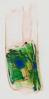 Detection preview by DN_Medium_300_yolov8m_20t7_new