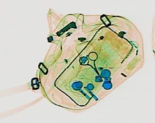 Detection preview by DN_Medium_300_yolov8m_20t7_new