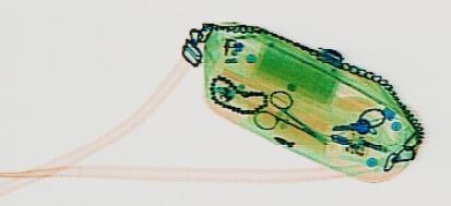 Detection preview by DN_Medium_300_yolov8m_20t7_new