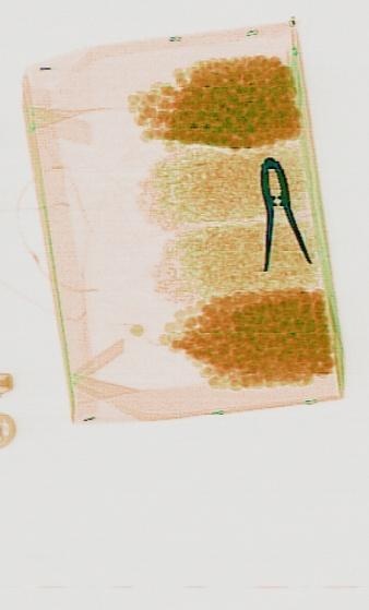 Detection preview by DN_Medium_300_yolov8m_20t7_new