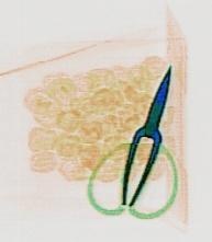 Detection preview by DN_Medium_300_yolov8m_20t7_new