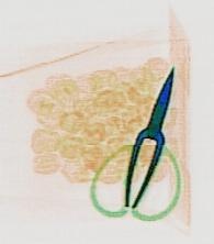 Detection preview by DN_Medium_300_yolov8m_20t7_new