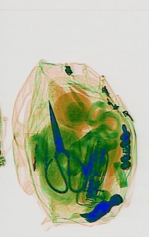 Detection preview by DN_Medium_300_yolov8m_20t7_new