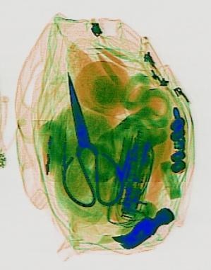 Detection preview by DN_Medium_300_yolov8m_20t7_new