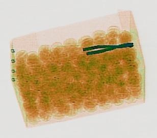 Detection preview by DN_Medium_300_yolov8m_20t7_new