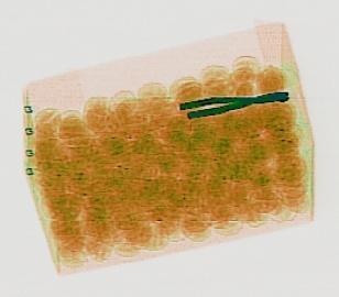 Detection preview by DN_Medium_300_yolov8m_20t7_new