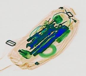 Detection preview by DN_Medium_300_yolov8m_20t7_new