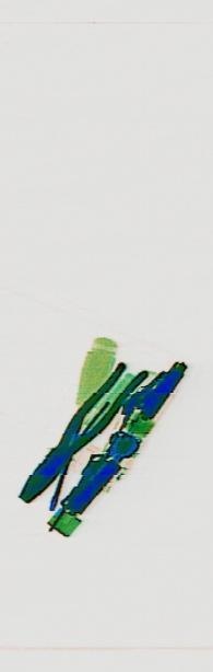 Detection preview by DN_Medium_300_yolov8m_20t7_new