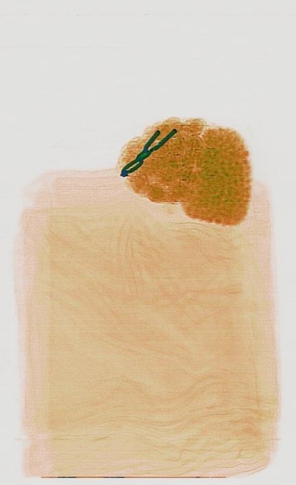 Detection preview by DN_Medium_300_yolov8m_20t7_new