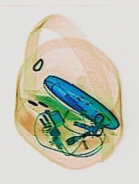 Detection preview by DN_Medium_300_yolov8m_20t7_new