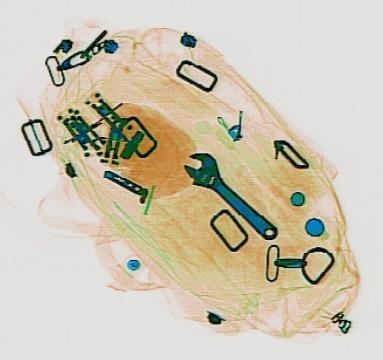 Detection preview by DN_Medium_300_yolov8m_20t7_new