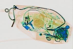 Detection preview by DN_Medium_300_yolov8m_20t7_new