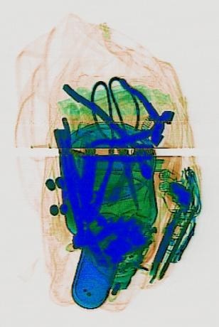 Detection preview by DN_Medium_300_yolov8m_20t7_new