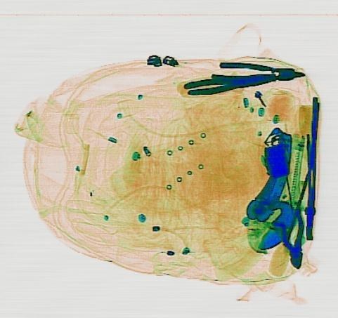 Detection preview by DN_Medium_300_yolov8m_20t7_new