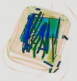 Detection preview by DN_Medium_300_yolov8m_20t7_new