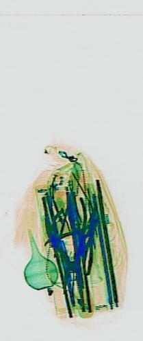 Detection preview by DN_Medium_300_yolov8m_20t7_new