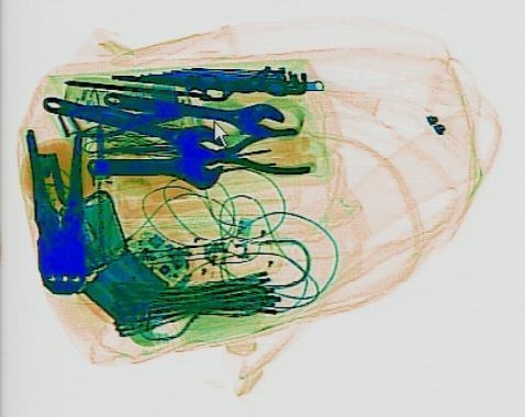 Detection preview by DN_Medium_300_yolov8m_20t7_new