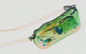 Detection preview by DN_Medium_300_yolov8m_20t7_new