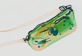 Detection preview by DN_Medium_300_yolov8m_20t7_new