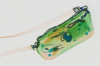 Detection preview by DN_Medium_300_yolov8m_20t7_new