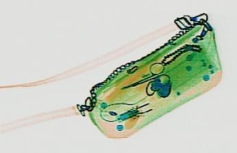 Detection preview by DN_Medium_300_yolov8m_20t7_new