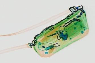 Detection preview by DN_Medium_300_yolov8m_20t7_new