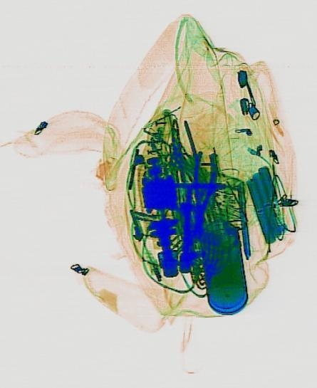 Detection preview by DN_Medium_300_yolov8m_20t7_new