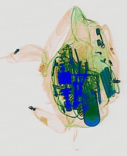 Detection preview by DN_Medium_300_yolov8m_20t7_new