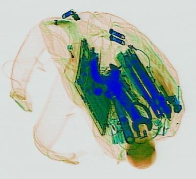 Detection preview by DN_Medium_300_yolov8m_20t7_new