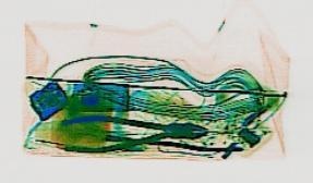 Detection preview by DN_Medium_300_yolov8m_20t7_new