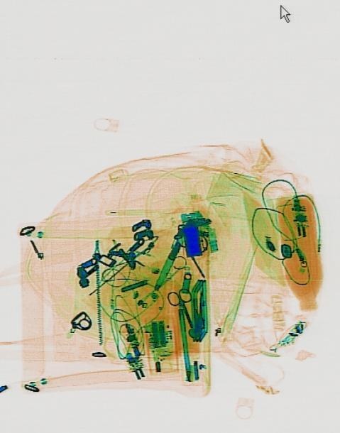 Detection preview by DN_Medium_300_yolov8m_20t7_new