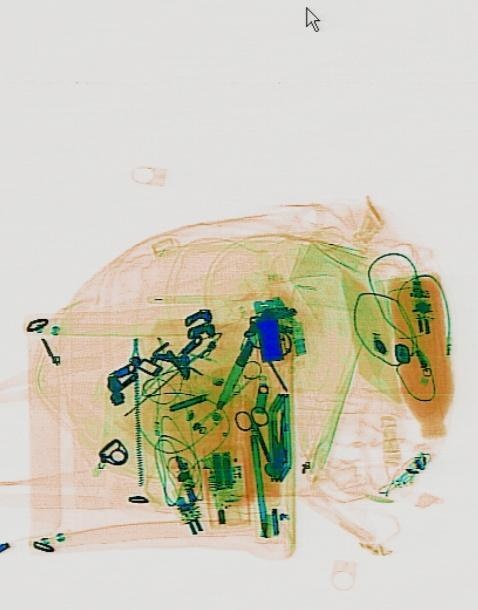 Detection preview by DN_Medium_300_yolov8m_20t7_new