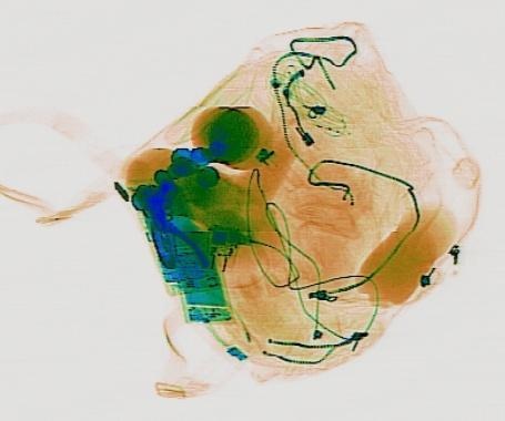 Detection preview by DN_Medium_300_yolov8m_20t7_new