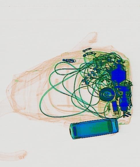 Detection preview by DN_Medium_300_yolov8m_20t7_new