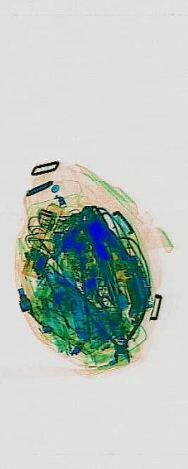 Detection preview by DN_Medium_300_yolov8m_20t7_new