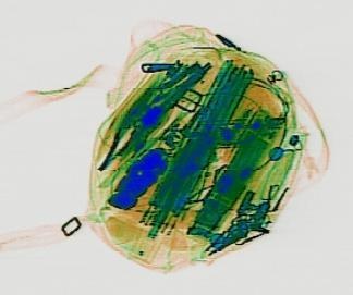 Detection preview by DN_Medium_300_yolov8m_20t7_new