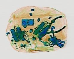 Detection preview by DN_Medium_300_yolov8m_20t7_new