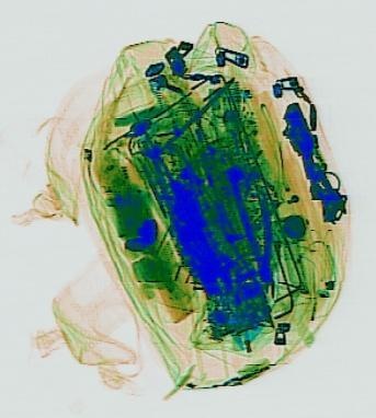Detection preview by DN_Medium_300_yolov8m_20t7_new