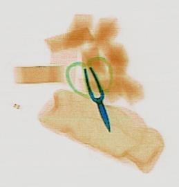 Detection preview by DN_Medium_300_yolov8m_20t7_new