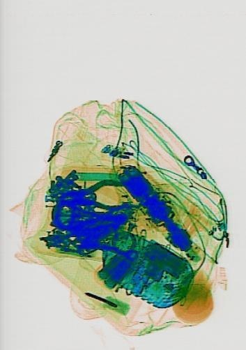 Detection preview by DN_Medium_300_yolov8m_20t7_new