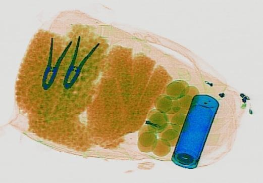 Detection preview by DN_Medium_300_yolov8m_20t7_new