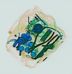 Detection preview by DN_Medium_300_yolov8m_20t7_new