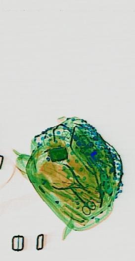 Detection preview by DN_Medium_300_yolov8m_20t7_new