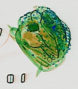 Detection preview by DN_Medium_300_yolov8m_20t7_new