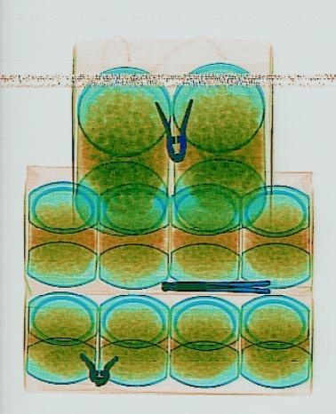 Detection preview by DN_Medium_300_yolov8m_20t7_new