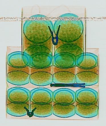 Detection preview by DN_Medium_300_yolov8m_20t7_new